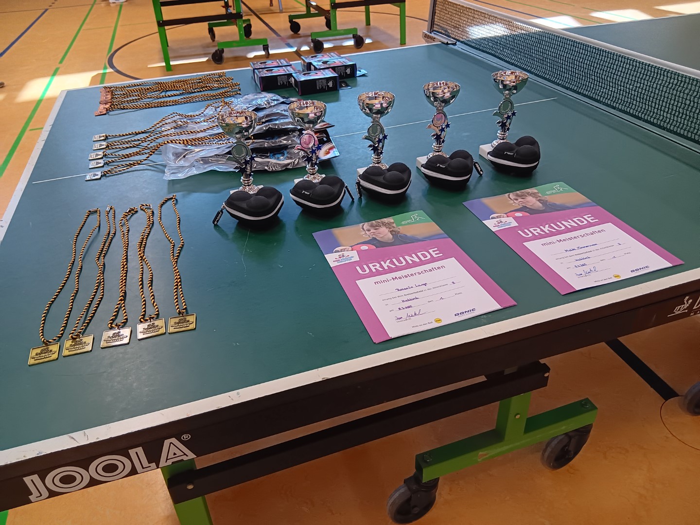 42. Mini-Einzelmeisterschaft 2025 beim Kreisentscheid im Kreis Bautzen in Hochkirch - Foto von Ines Mietzsch (18)